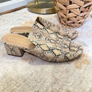 Kaanas • Snake Print Block Heel Mules Sz 8 Slip On Casual Chic Everyday‎ Wear